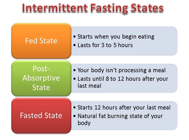 Intermittent Fasting States